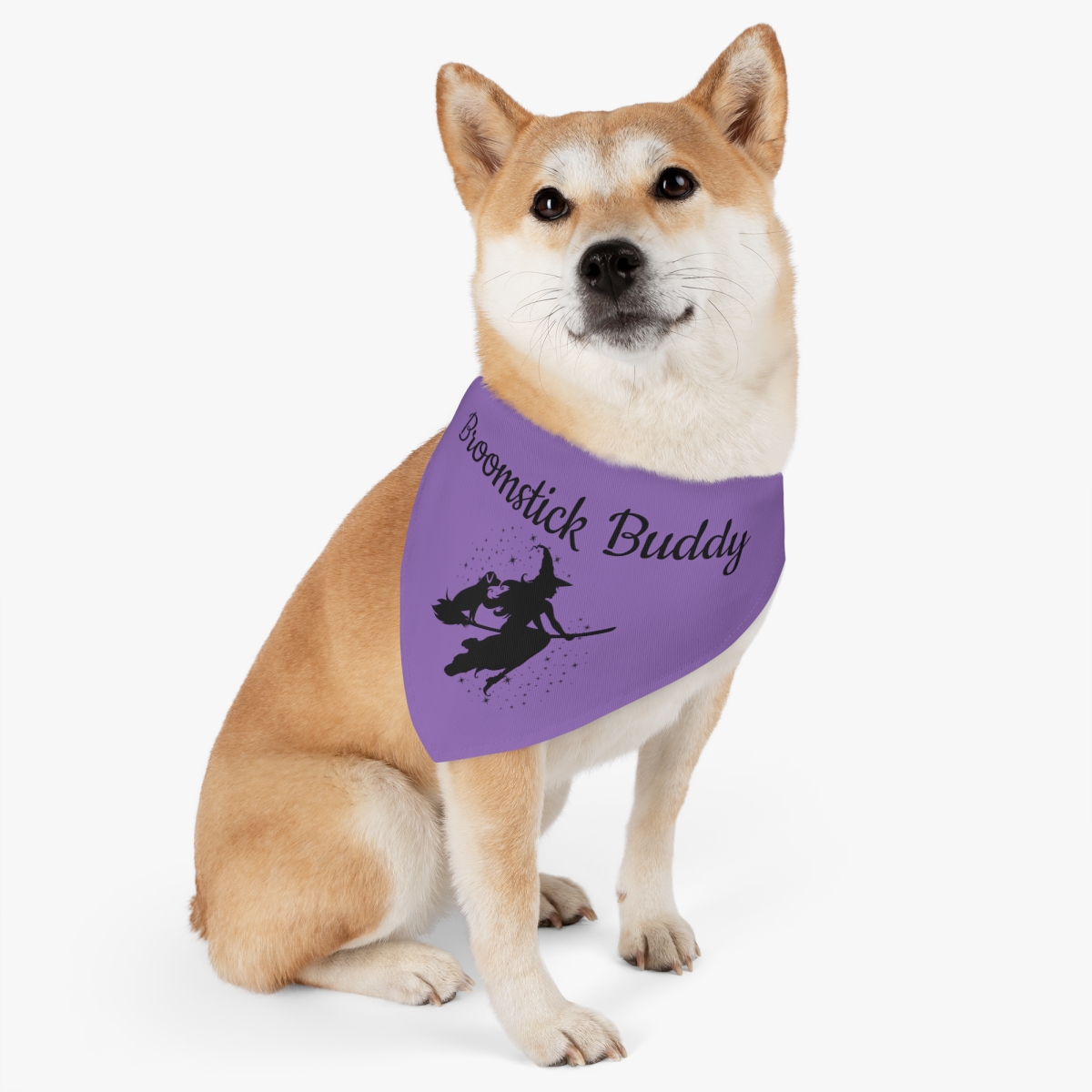 “Broomstick Buddy” Pet Bandana Collar – Purple