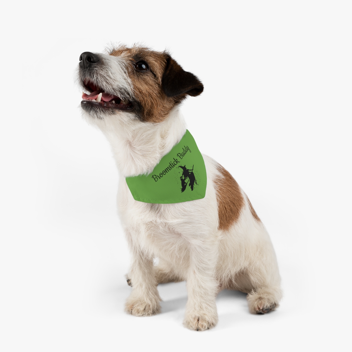 “Broomstick Buddy” Pet Bandana Collar – Green